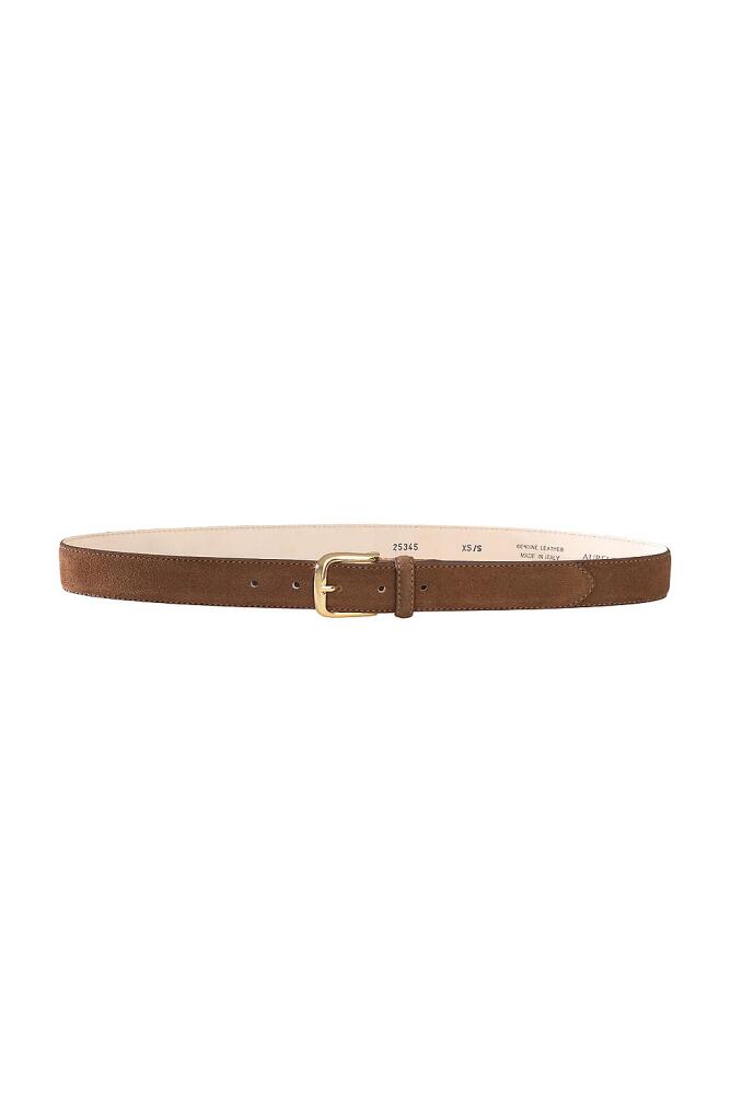 AUREUM Chocolate Suede Belt in Chocolate Cover