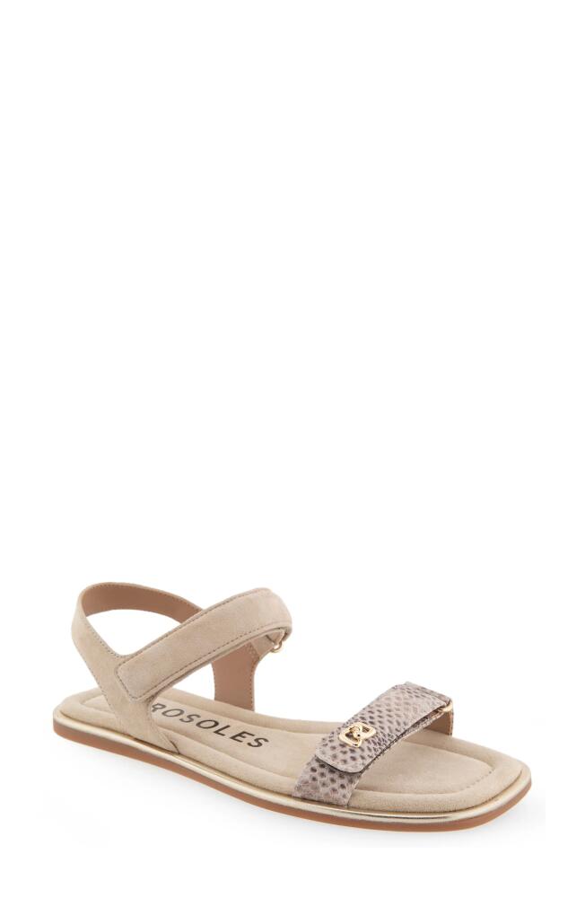 Aerosoles Bruna Sandal in Roccia Snake Print Leather Cover