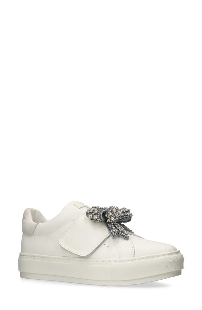 Kurt Geiger London Laney Bow Sneaker in Open Grey Cover