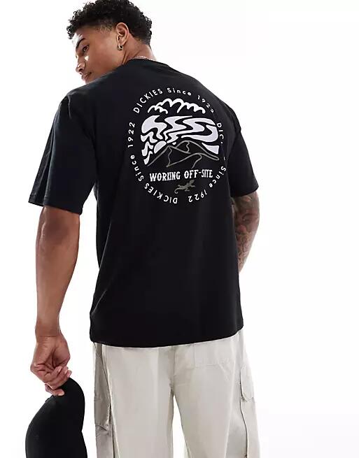 Dickies short sleeve Standardsville t-shirt in black Cover