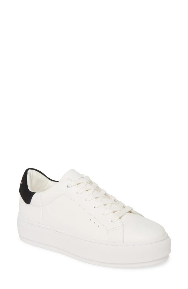 Kurt Geiger London Laney Sneaker in White/Black Leather Cover