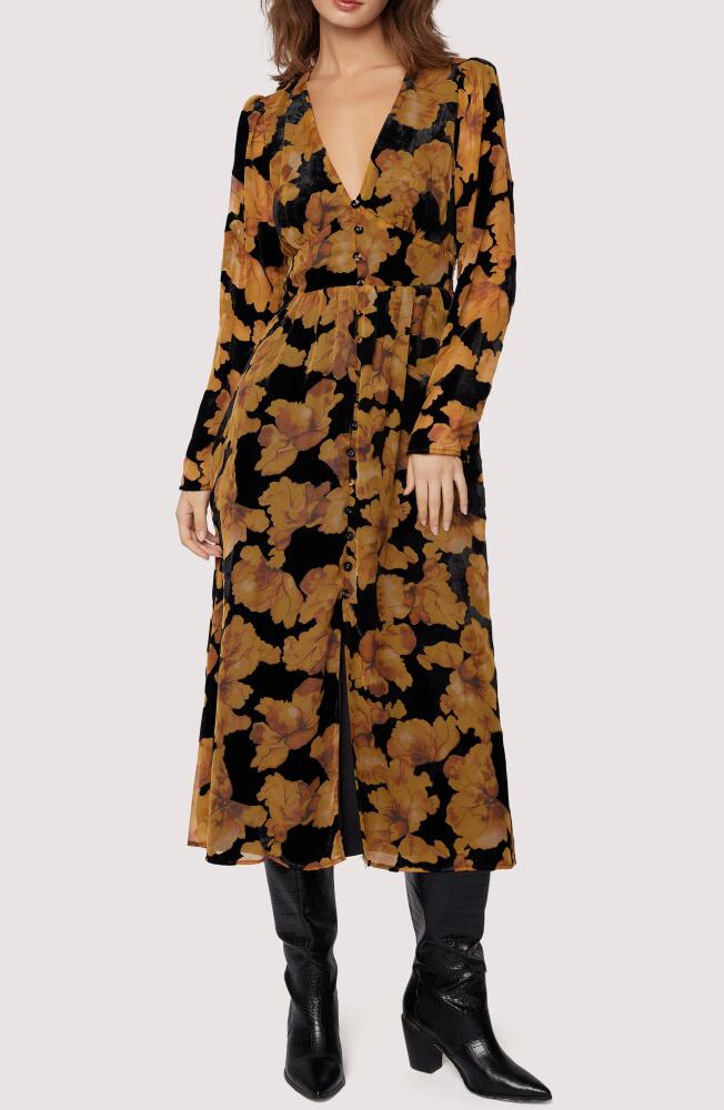 Lost + Wander Massimo Floral Long Sleeve Velvet Burnout Shirtdress in Black Gold Cover