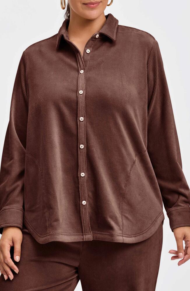 Foxcroft Maddy Plush Corduroy Button-Up Shirt in Chocolate Cover