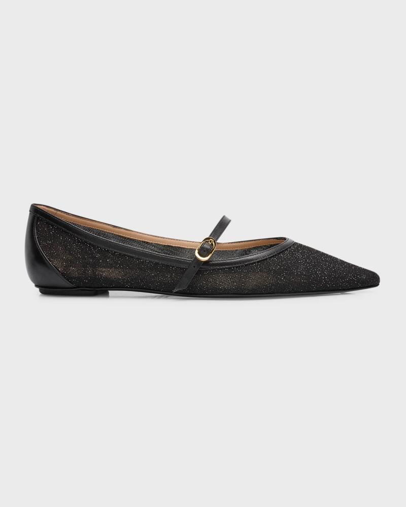 Stuart Weitzman Emilia Shimmer Mary Jane Ballerina Flats Cover