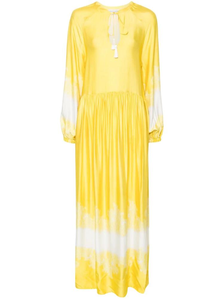 ERMANNO FIRENZE lace-print satin maxi dress - Yellow Cover