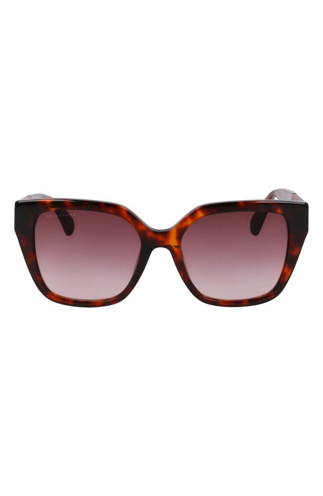 Longchamp Roseau 54mm Butterfly Sunglasses in Dark Havana Cover