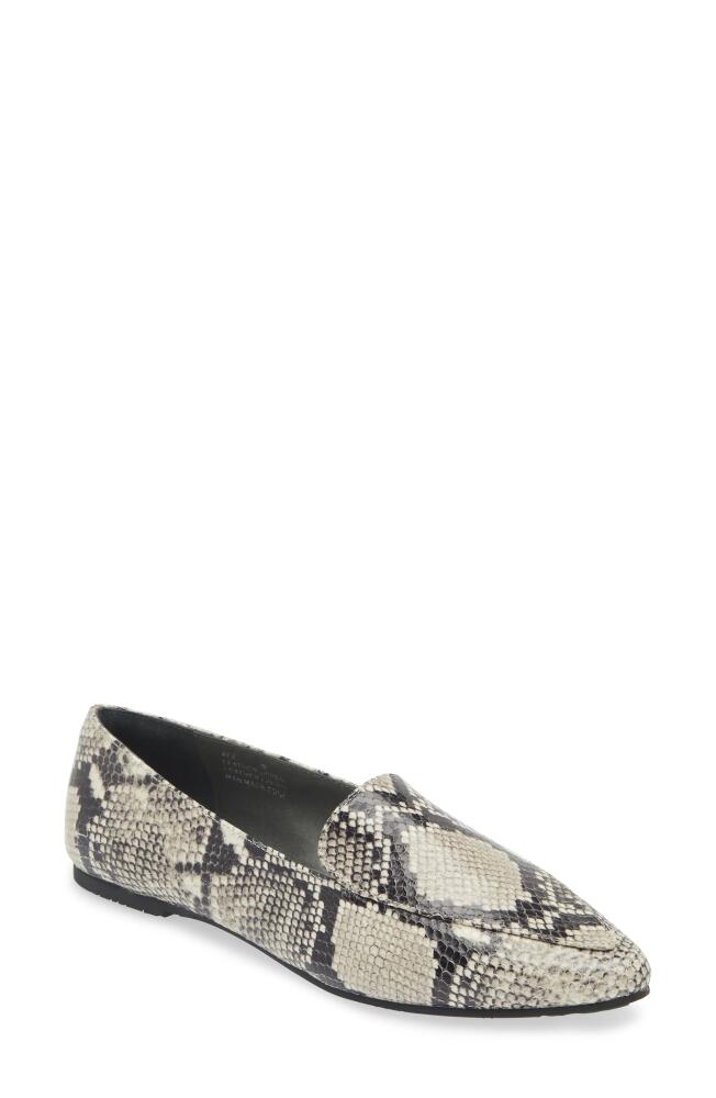 Chocolat Blu Ace Pointed Toe Loafer in Black-White Embossed Snake Cover