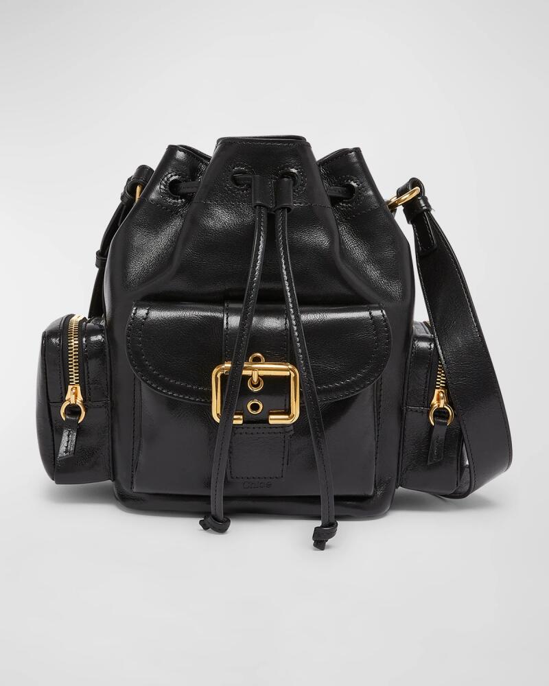 Chloe Camera Bucket Crossbody Bag in Shiny Calfskin Cover