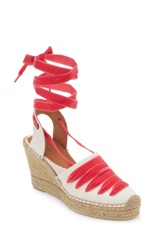 Penelope Chilvers Sevillana Dali Espadrille Wedge in Ivory/Fuchsia Cover