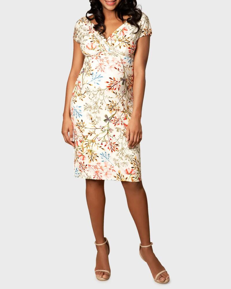 Tiffany Rose Maternity Floral-Print Cap-Sleeve Shift Dress Cover