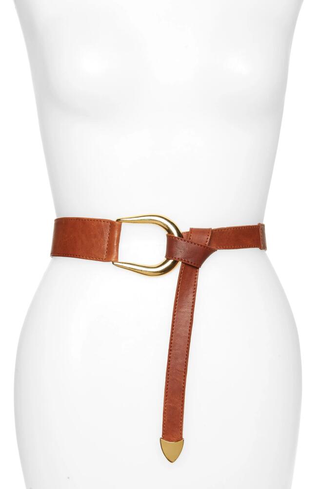 Raina Sheila Knot Belt in Cognac Cover