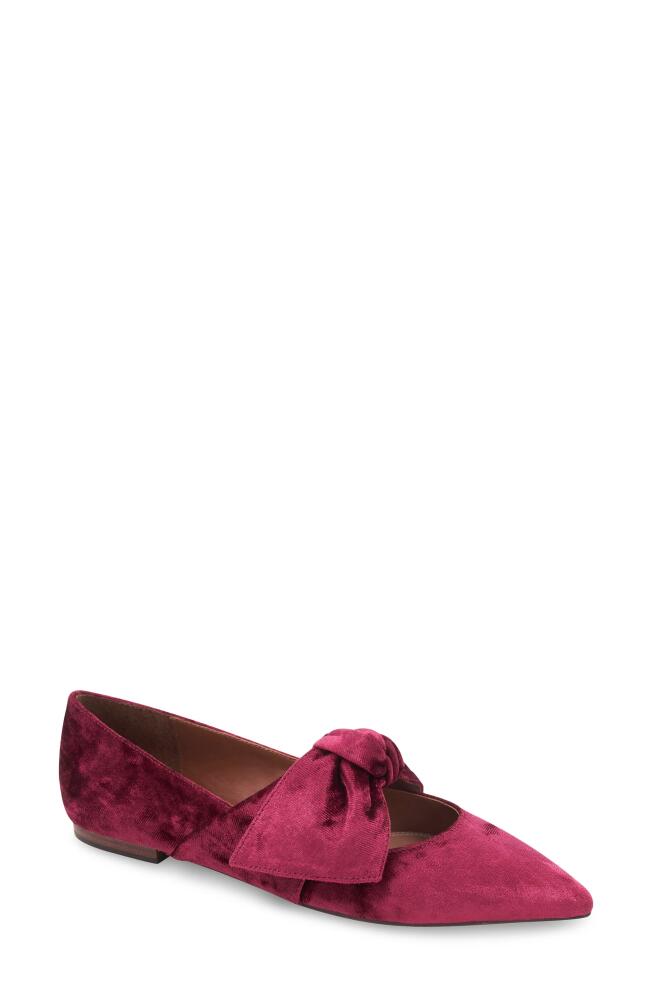 bcbg Prely Mary Jane Pointed Toe Flat in Bordeaux Cover