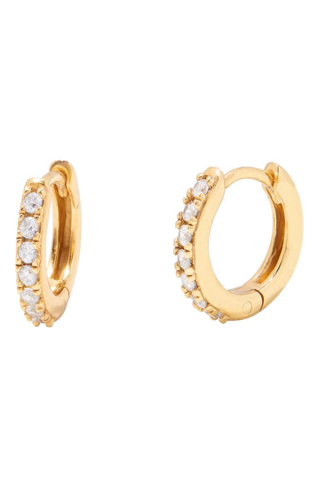 Brook and York Sienna Pavé Cubic Zirconia Huggie Hoop Earrings in Gold Cover