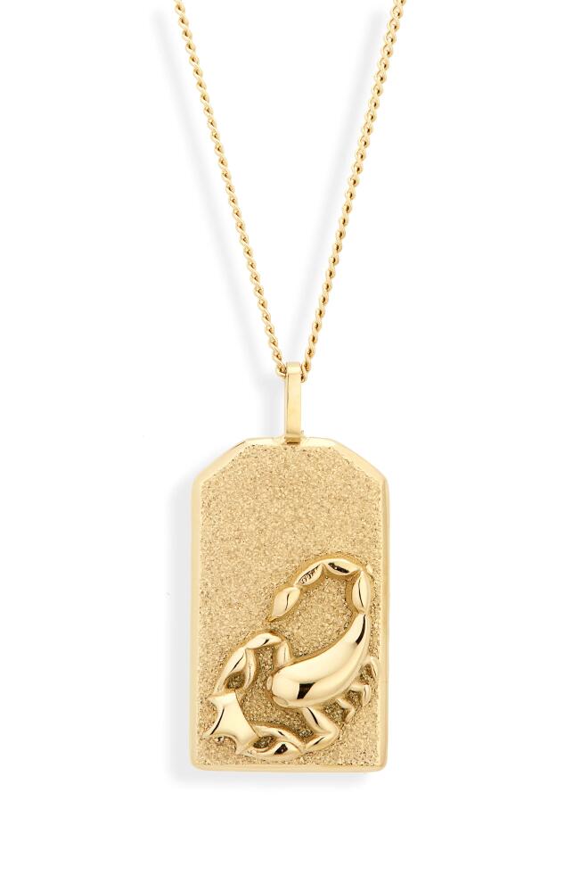 Jenny Bird Zodiac Pendant Necklace in Gold - Scorpio Cover