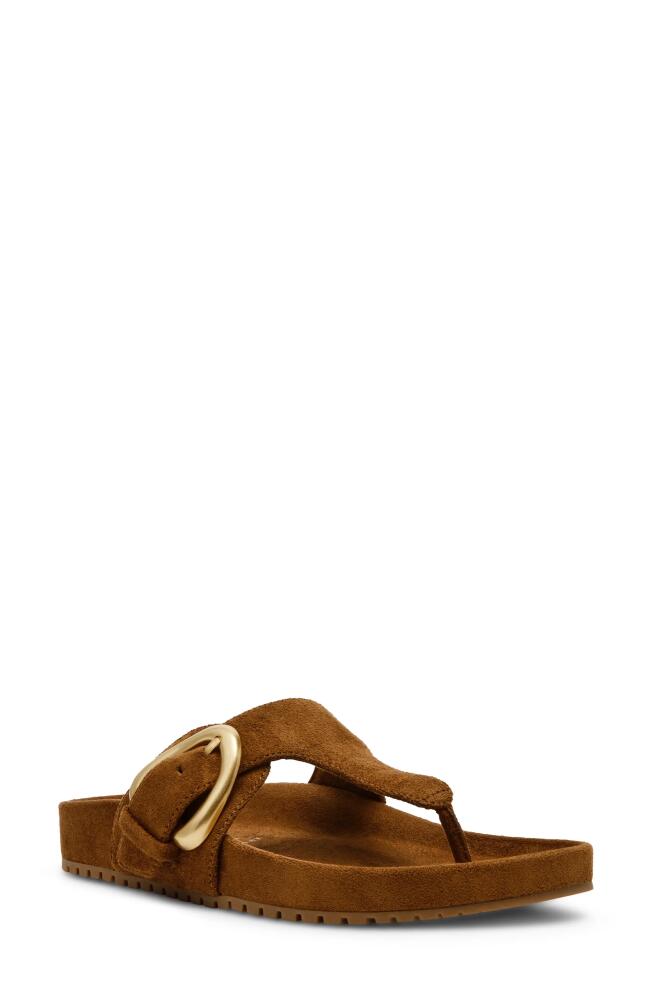 Anne Klein Dainty Flip Flop in Brown Cover