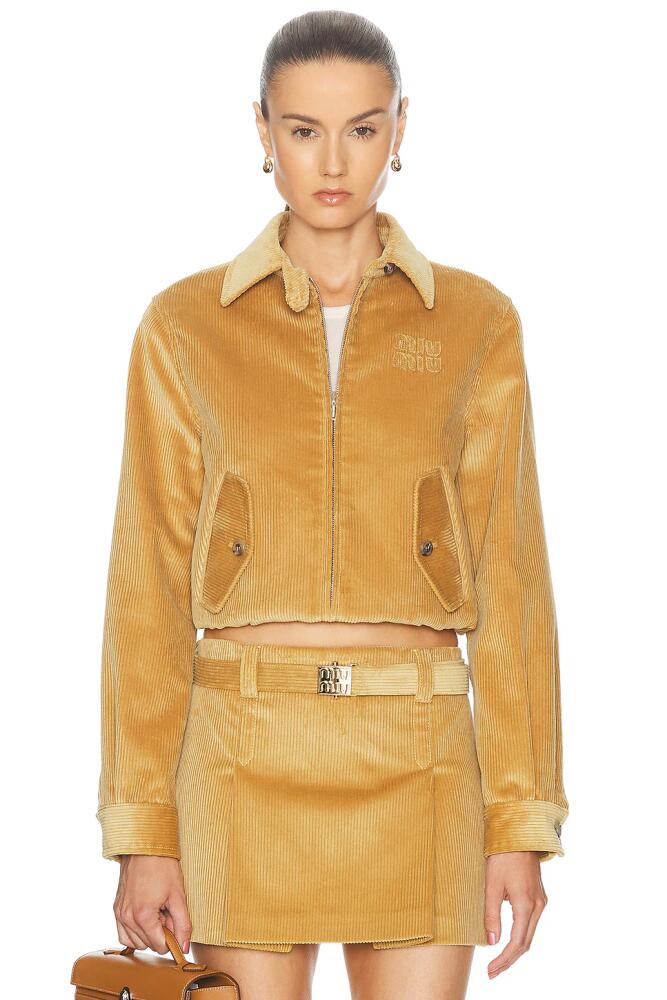 Miu Miu Ribbed Bomber Jacket in Brown Cover