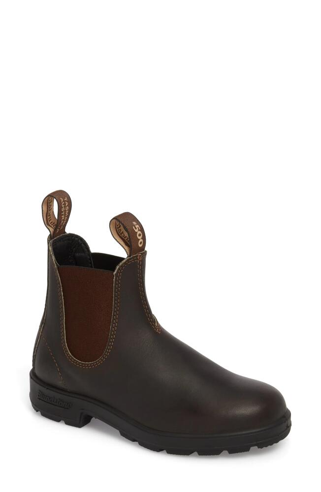 Blundstone Footwear Gender Inclusive Black Chelsea Boot in Stout Brown Leather Cover