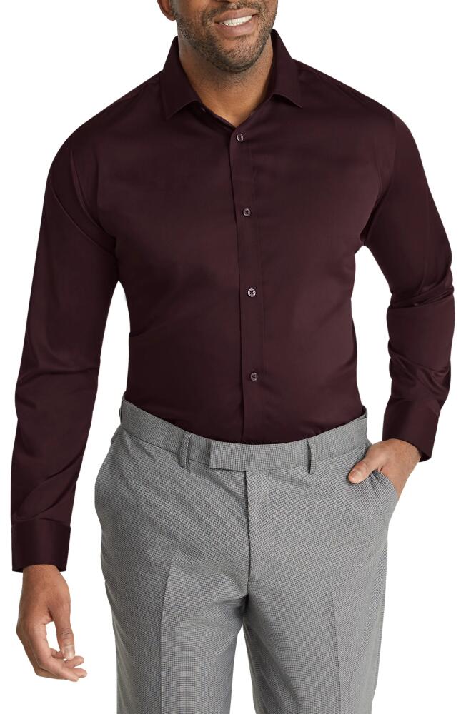 Johnny Bigg Hamilton Stretch Dress Shirt in Garnet Cover