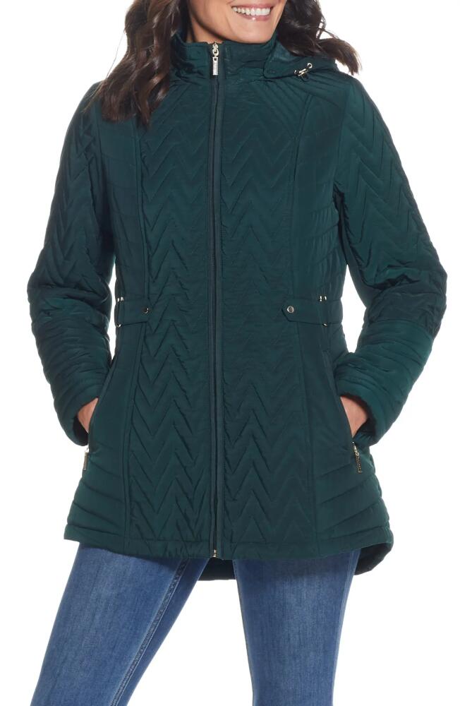 Gallery Hooded Quilted Jacket in Dark Hunter Cover