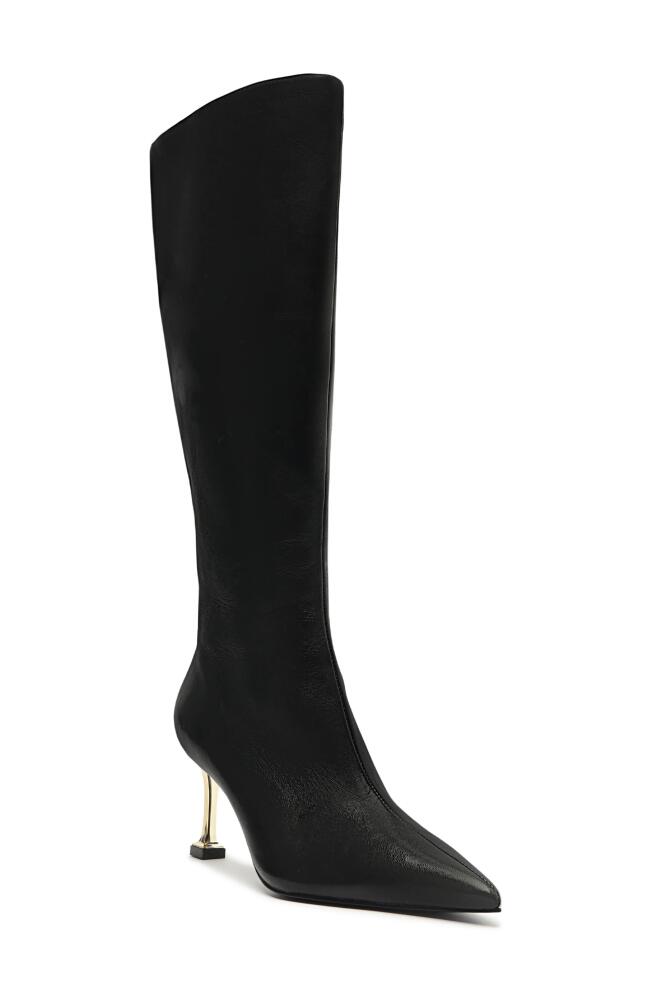 Schutz Firenze Pointed Toe Knee High Boot in Black Cover