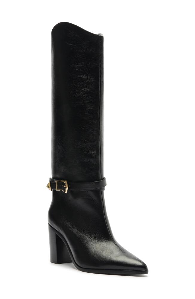 Schutz Maryana Pointed Toe Knee High Boot in Black Cover