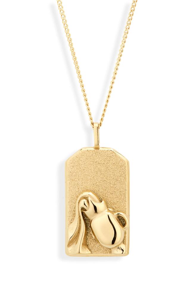 Jenny Bird Zodiac Pendant Necklace in Gold - Aquarius Cover