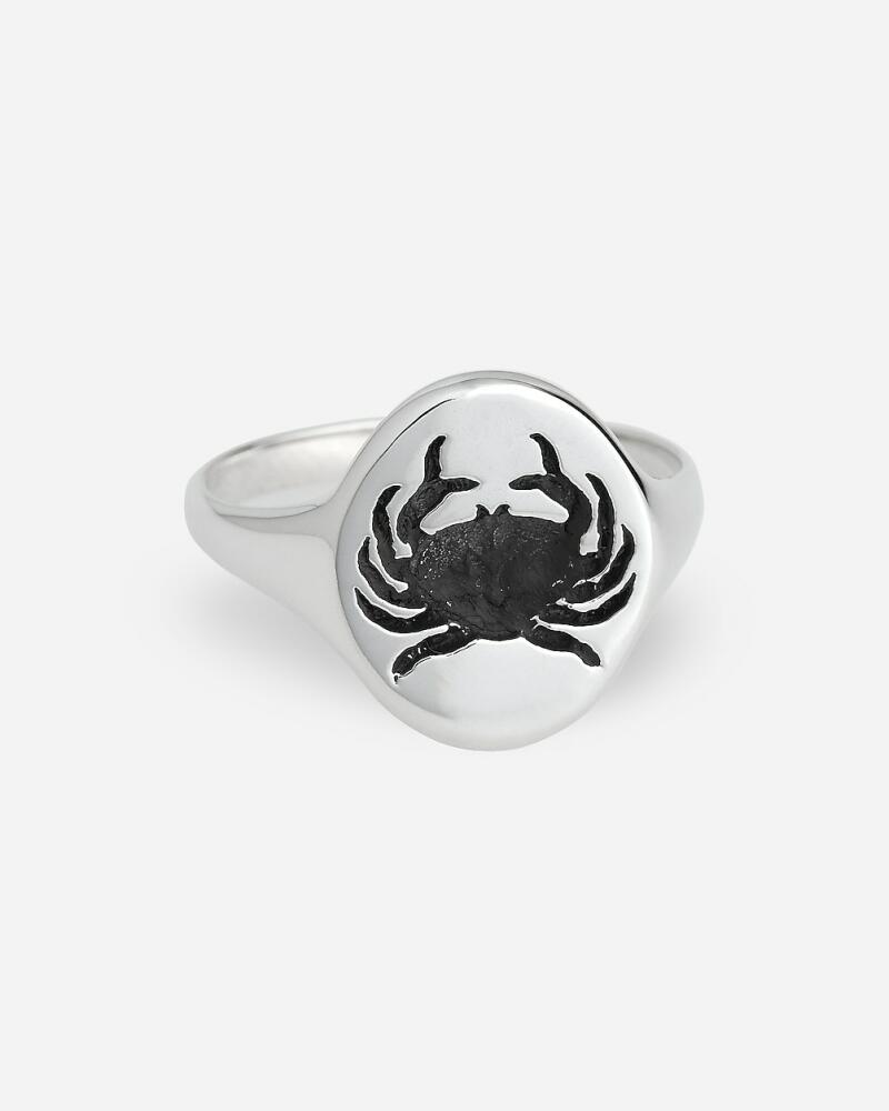 J.Crew TALON JEWELRY zodiac signet ring Cover