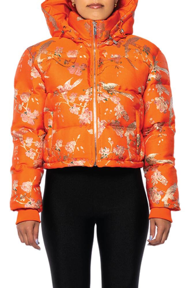 AZALEA WANG Brocade Print Crop Puffer Jacket with Removable Hood in Orange Cover