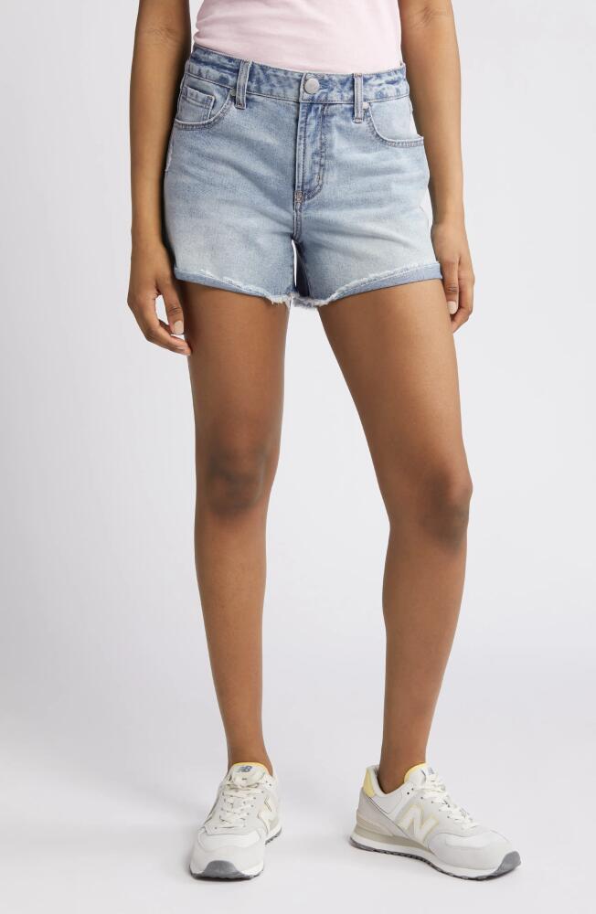 1822 Denim Duster High Waist Denim Cutoff Shorts in Brayden Cover