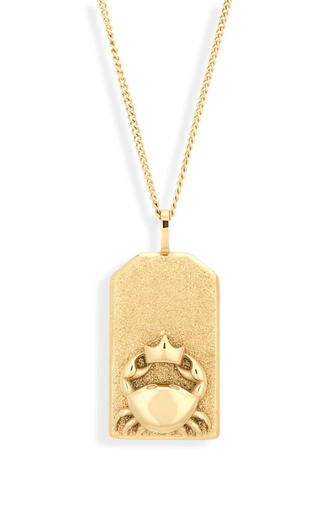 Jenny Bird Zodiac Pendant Necklace in Gold - Cancer Cover