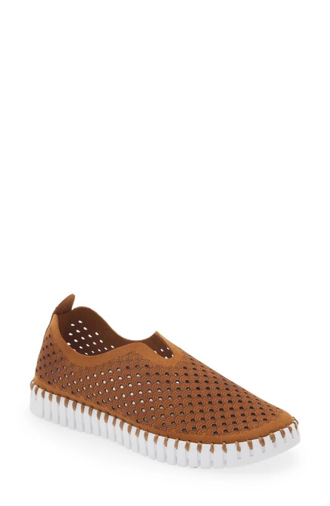 Ilse Jacobsen Tulip 139 Perforated Slip-On Sneaker in Cashew Cover