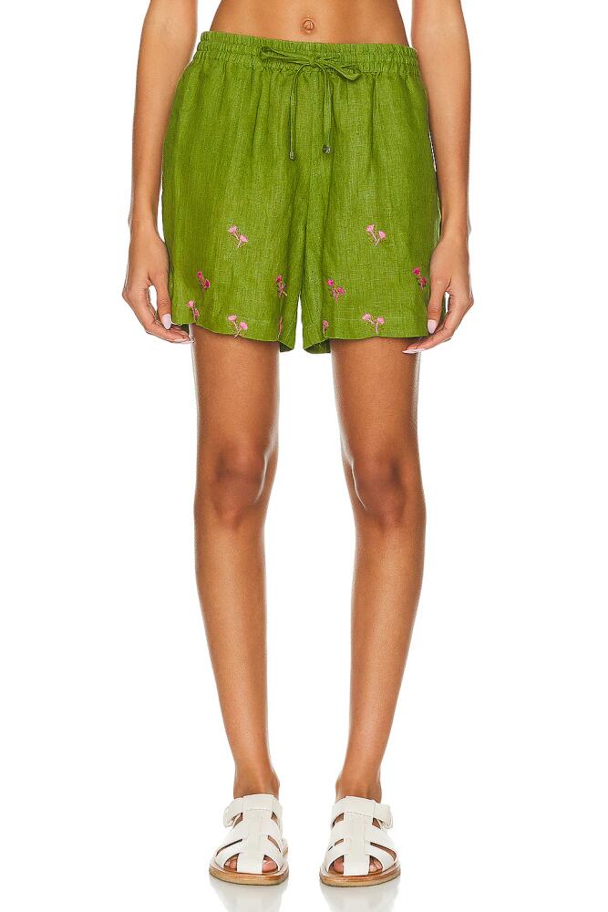 HARAGO Embroidered Shorts in Green Cover