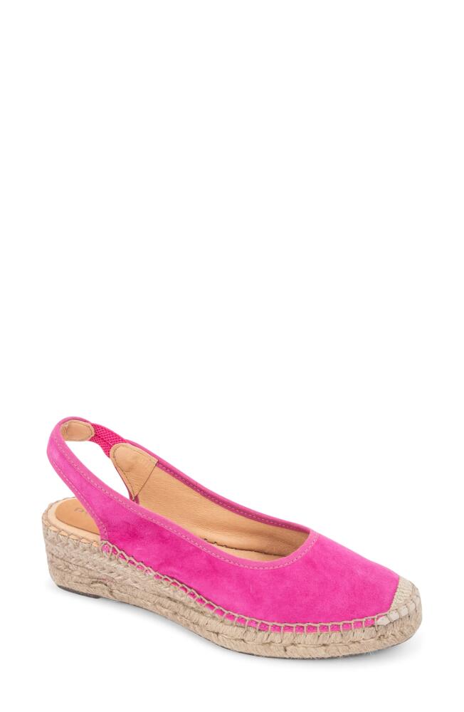 patricia green Valencia Slingback Wedge Espadrille in Hot Pink Cover