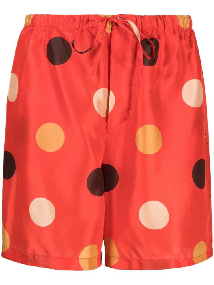 ASPESI polka-dot drawstring shorts - Red Cover