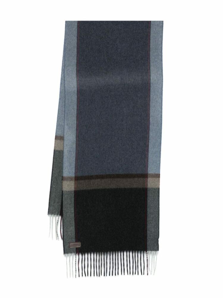 Canali plaid-check scarf - Blue Cover