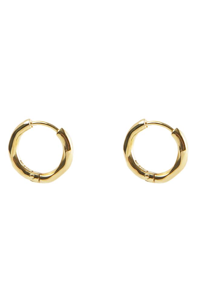 Argento Vivo Sterling Silver Faceted Hoop Earrings in Gold Cover