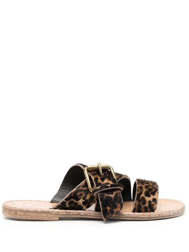 Golden Goose leopard-print buckle sandals - Brown Cover