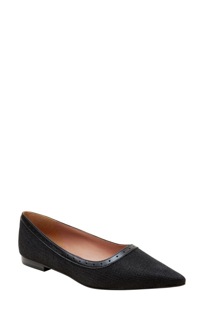 Linea Paolo Newport Pointed Toe Flat in Black Cover