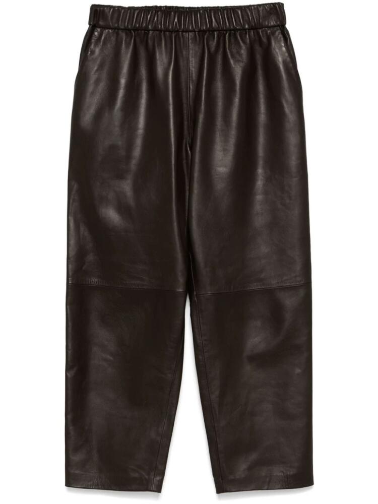 Dusan leather trousers - Brown Cover