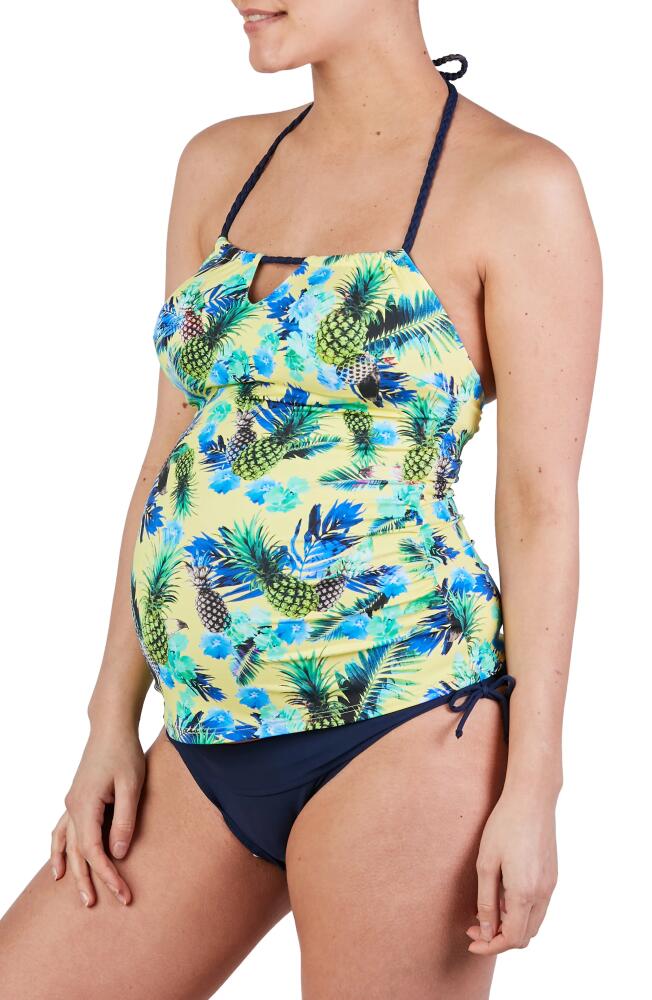 Cache Coeur Aloha Tankini Maternity Swimsuit in Multicolor Cover