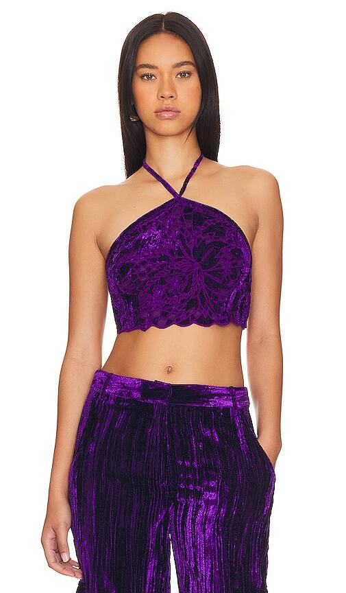 HEMANT AND NANDITA Crop Top in Purple Cover