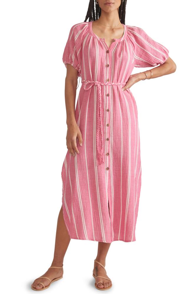 Marine Layer Stripe Belted Double Cloth Midi Shirtdress in Fuschia Stripe Cover