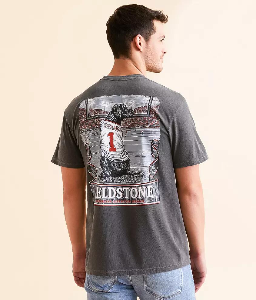 Fieldstone Jersey Dog T-Shirt Cover