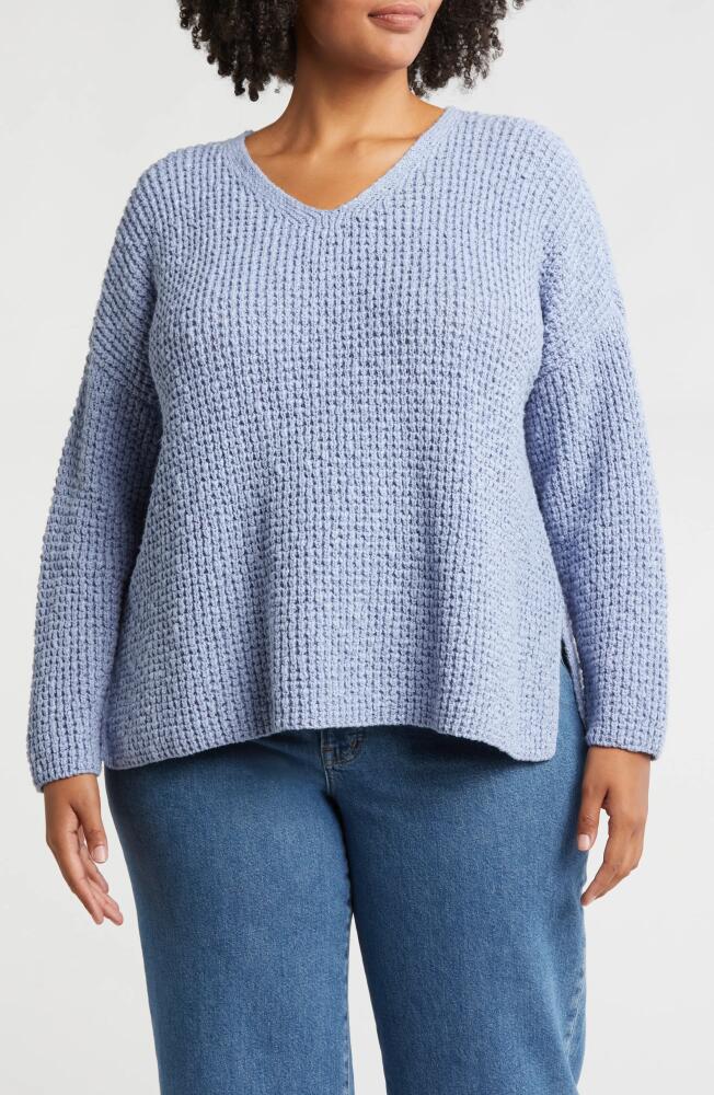 Eileen Fisher Organic Cotton Sweater in Delphine Cover