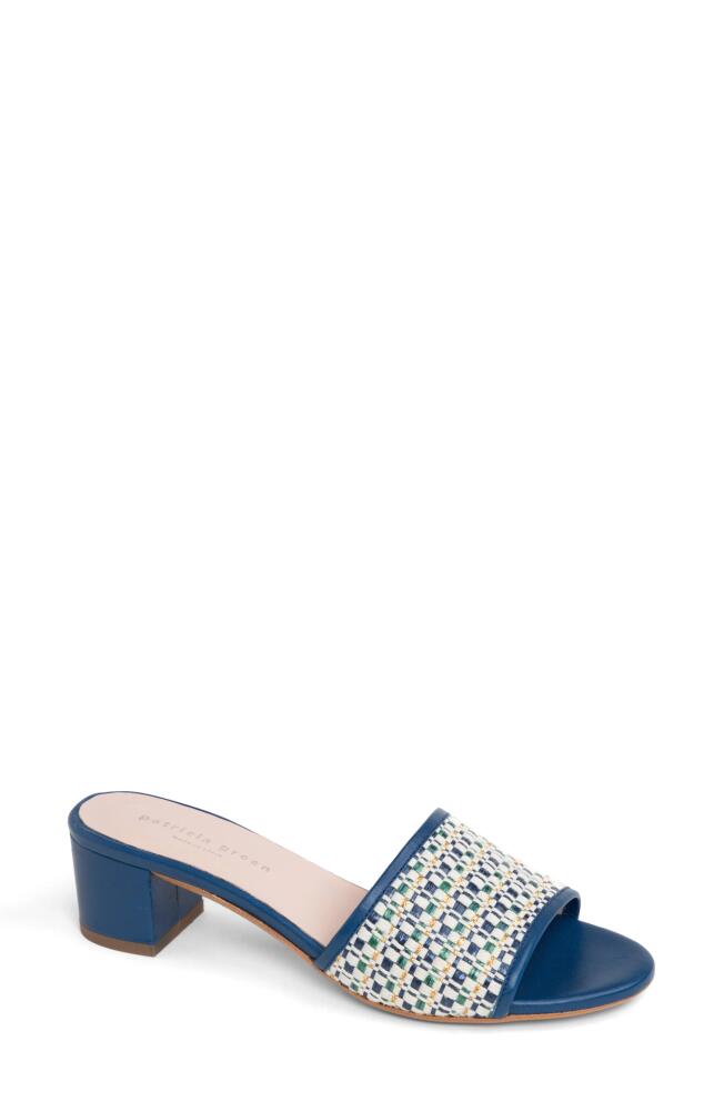 patricia green Harper Raffia Slide Sandal in Navy Cover