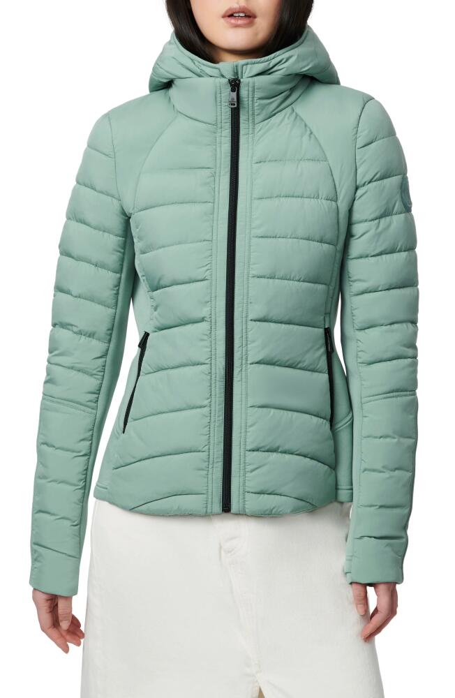 Bernardo Hooded Quilted Water Repellent Jacket in Misty Green Cover