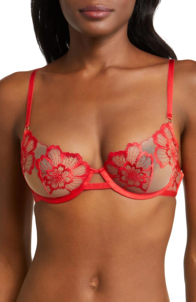 Bluebella Catalina Sheer Underwire Bra in Tomato Red/Sheer Cover