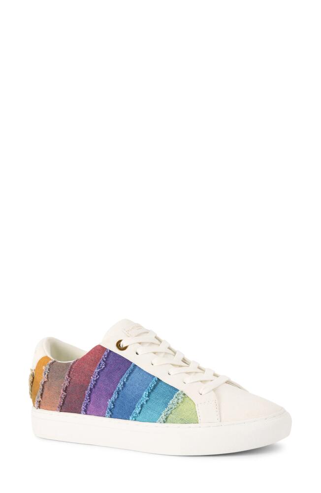 Kurt Geiger London Lane Stripe Sneaker in Open Miscellaneous Cover