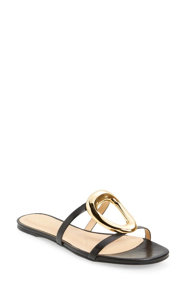 Cecelia New York Melissa Slide Sandal in Black Gold Cover