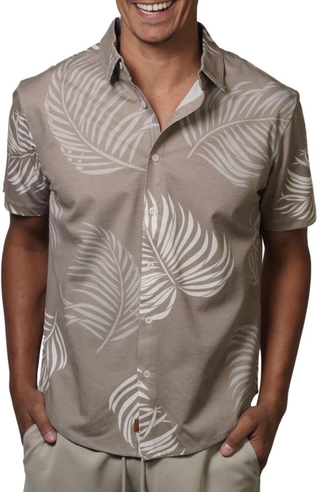 Fundamental Coast Wilshire Tradewinds Short Sleeve Button-Up Shirt in Beachwood Cover